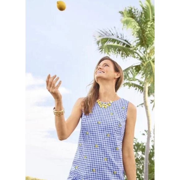 Talbots Womens Dress 22W Sleeveless Blue White Gingham Embroidered Lemons Lined - Picture 6 of 16